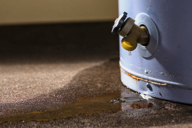 Best Flooded house restoration  in Magnolia, TX