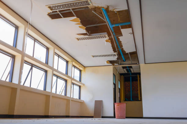 Water damage restoration mold remediation in Magnolia, TX