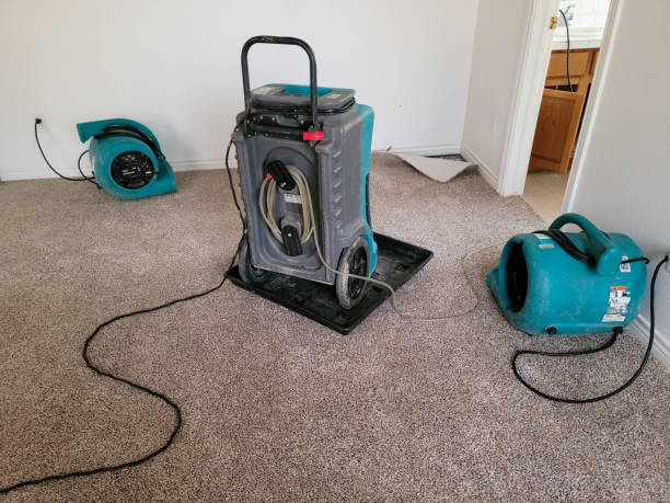 Water damage restoration process in Magnolia, TX