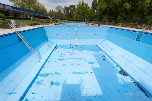 Best Mold removal after water damage  in Magnolia, TX