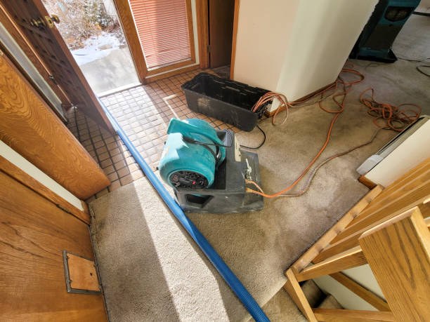 Best Sewage cleanup and water damage restoration  in Magnolia, TX