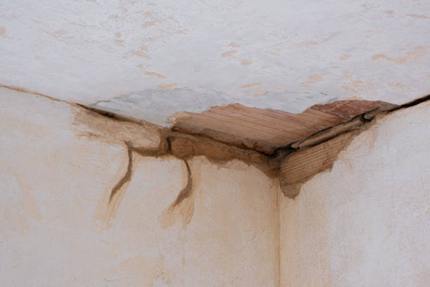 Trusted Magnolia, TX Water damage restoration Experts