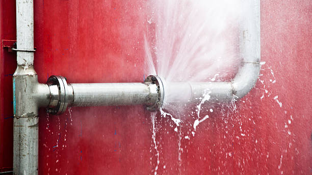  Magnolia, TX Water damage restoration Pros